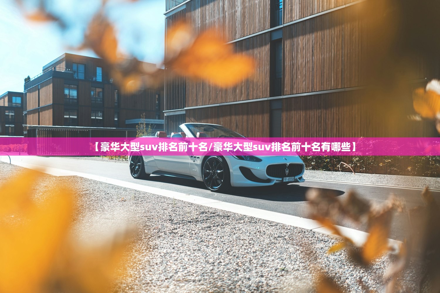 【豪华大型suv排名前十名/豪华大型suv排名前十名有哪些】