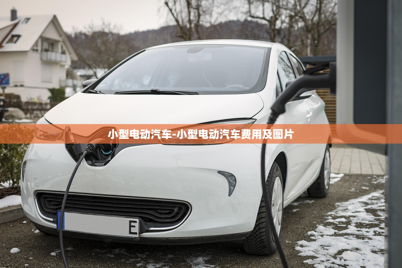 小型电动汽车-小型电动汽车费用及图片