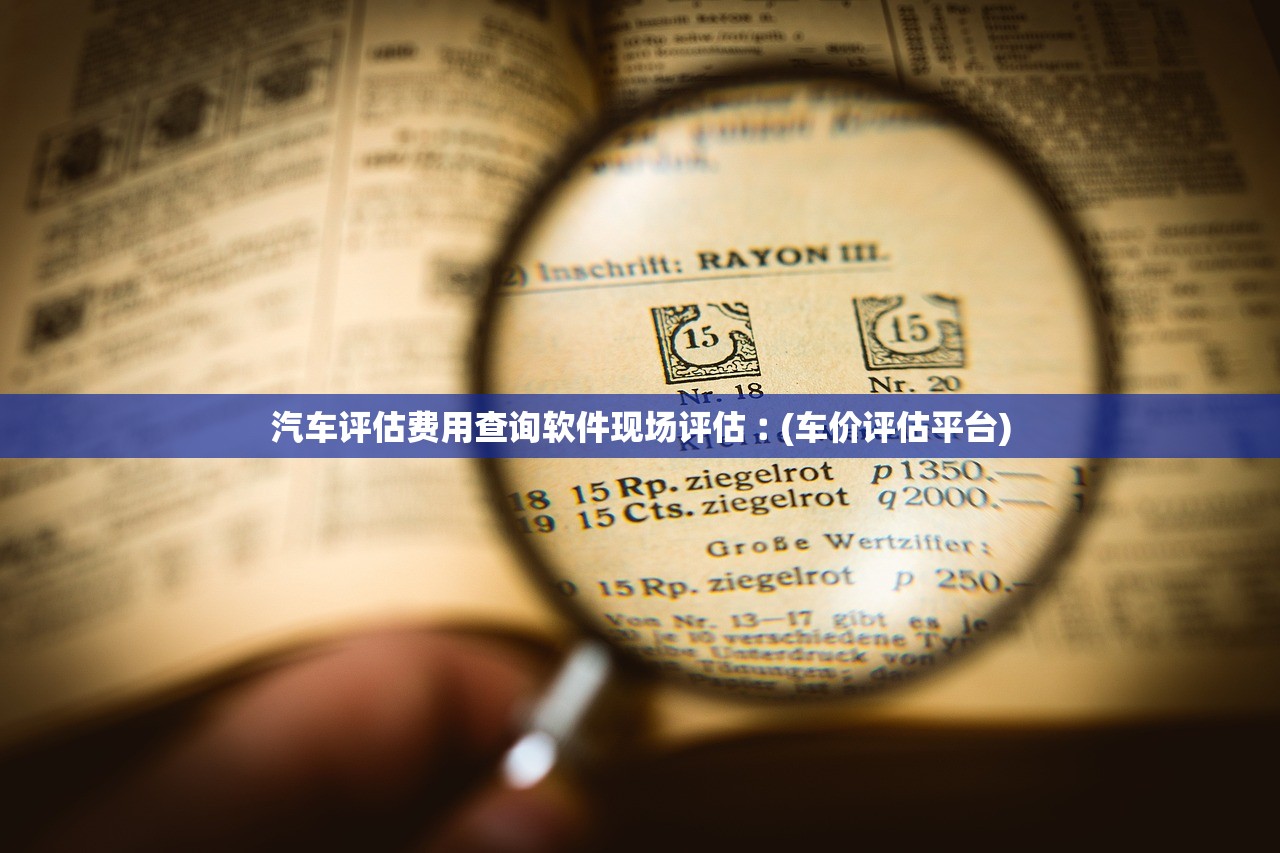 汽车评估费用查询软件现场评估︰(车价评估平台)