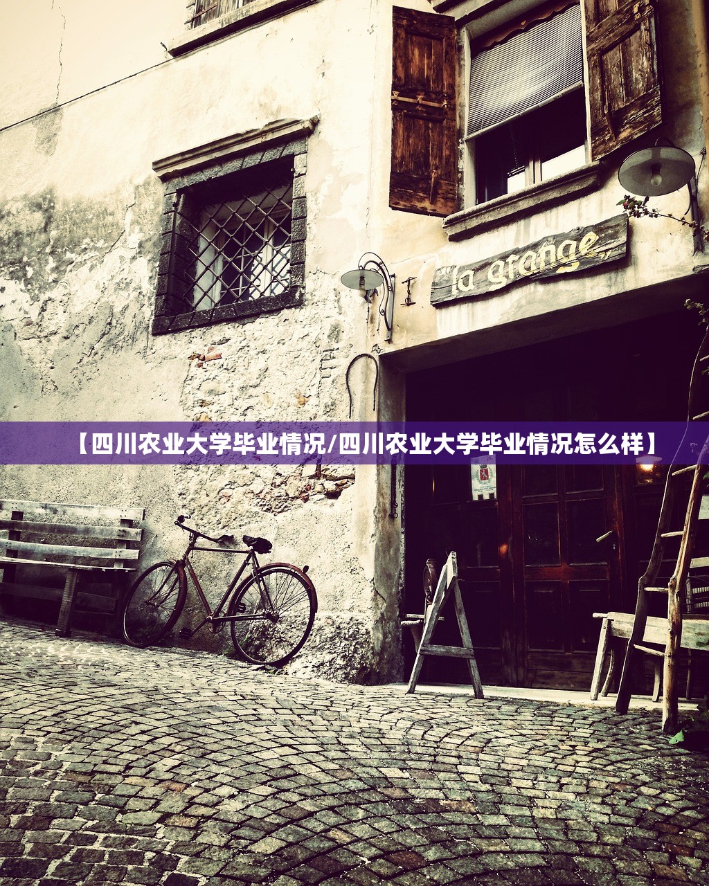 【四川农业大学毕业情况/四川农业大学毕业情况怎么样】