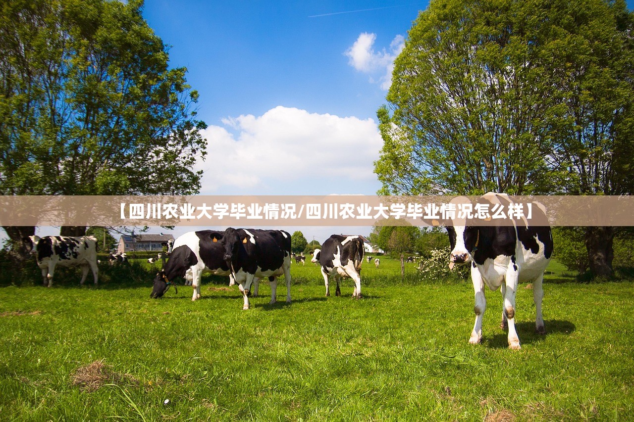 【四川农业大学毕业情况/四川农业大学毕业情况怎么样】