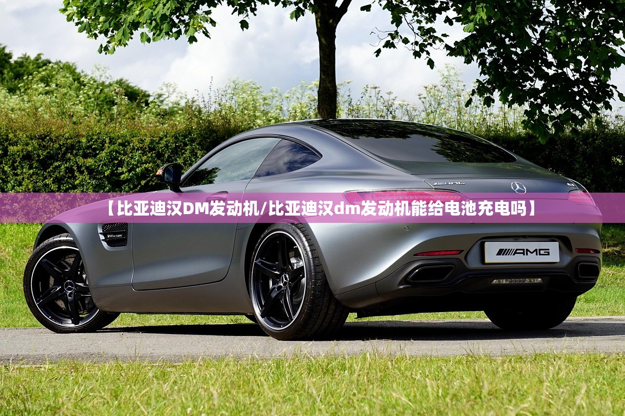 【比亚迪汉DM发动机/比亚迪汉dm发动机能给电池充电吗】