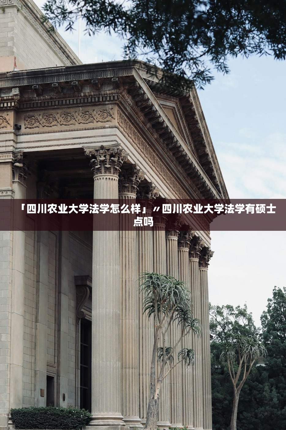 「四川农业大学法学怎么样」〃四川农业大学法学有硕士点吗