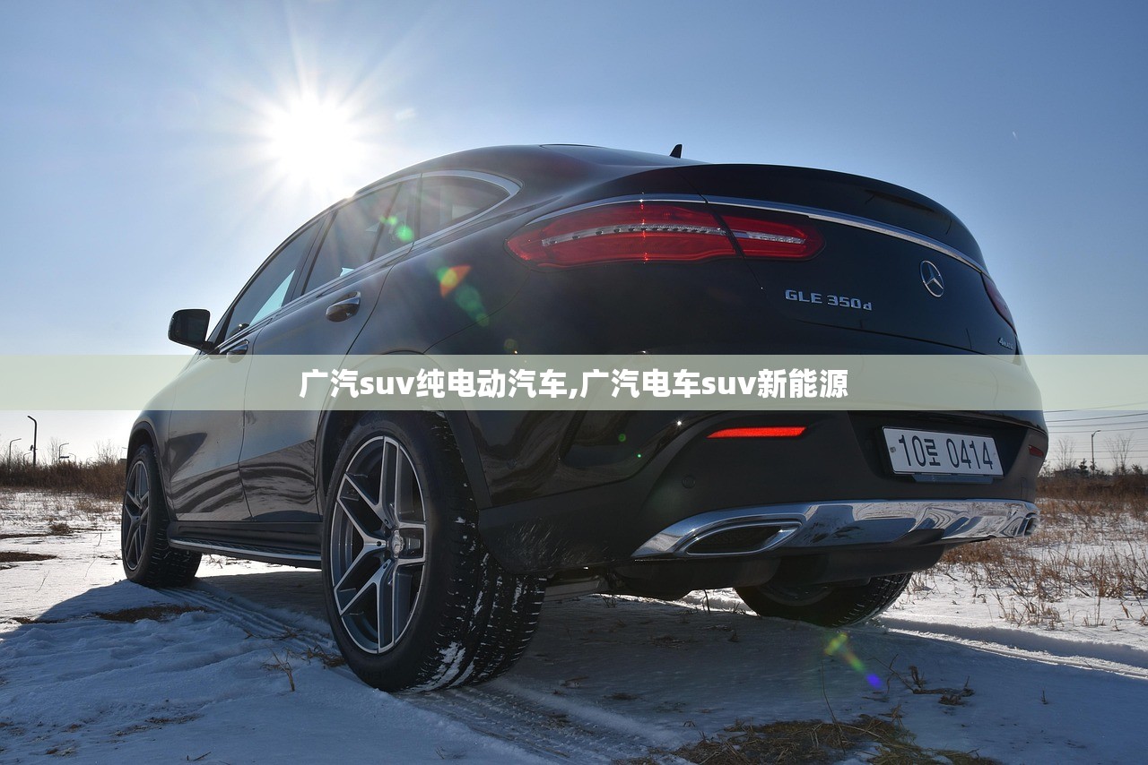 广汽suv纯电动汽车,广汽电车suv新能源