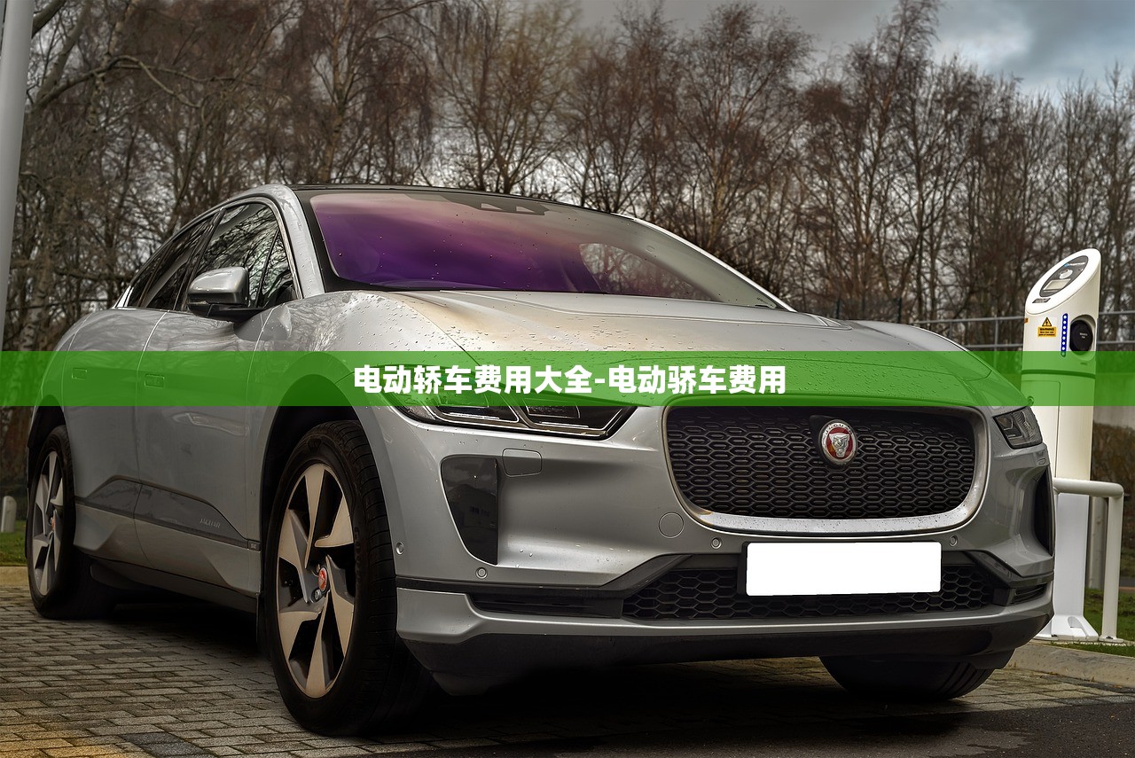 电动轿车费用大全-电动骄车费用 电动轿车费用大全-电动骄车费用