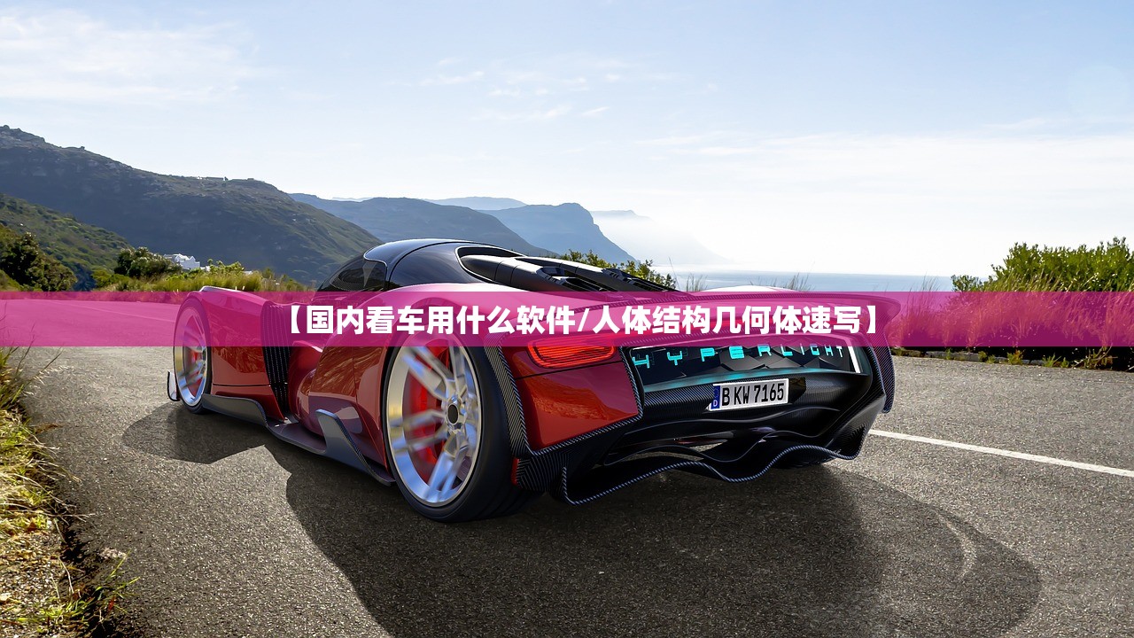 【国内看车用什么软件/人体结构几何体速写】