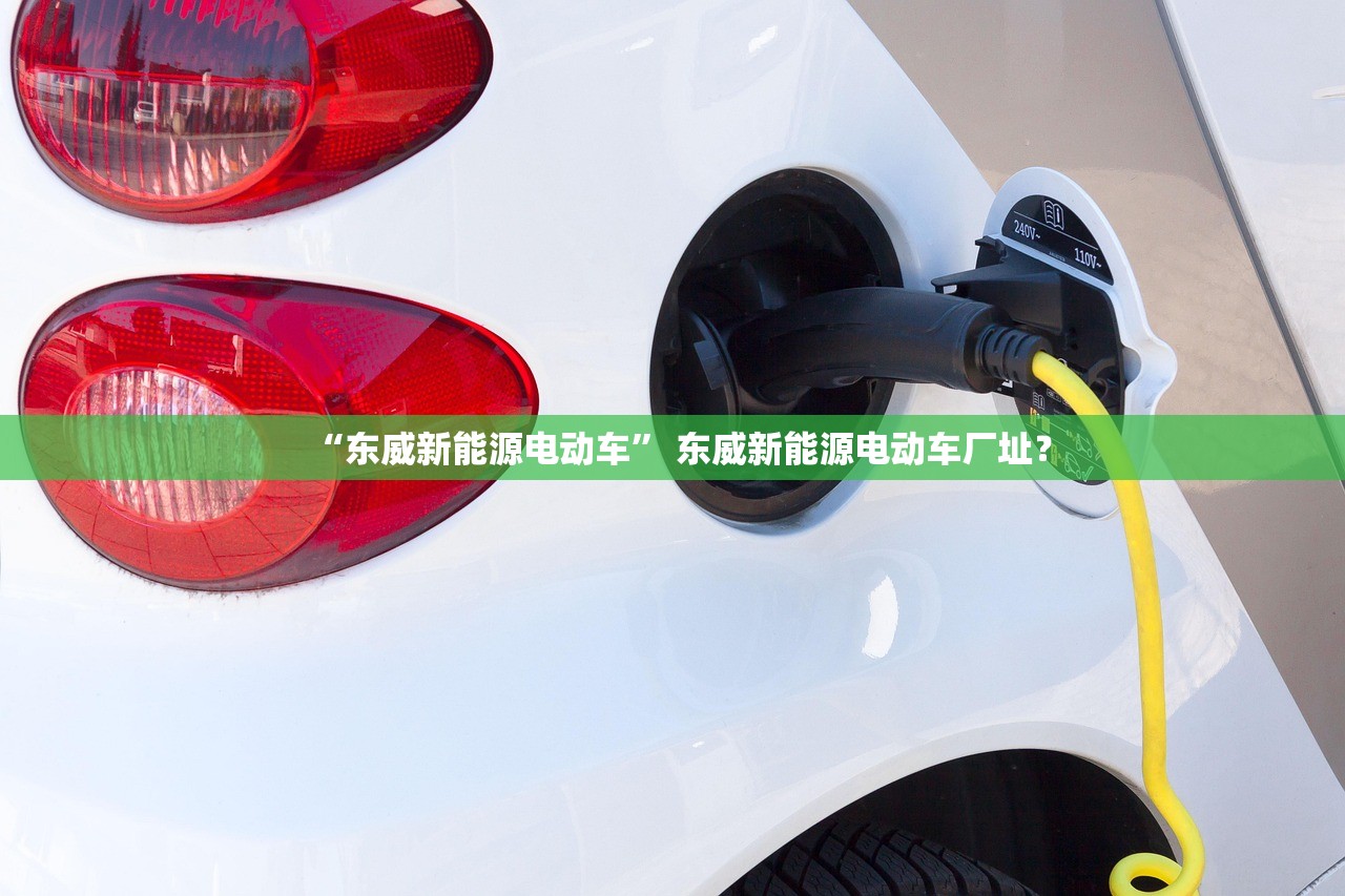 “东威新能源电动车” 东威新能源电动车厂址？
