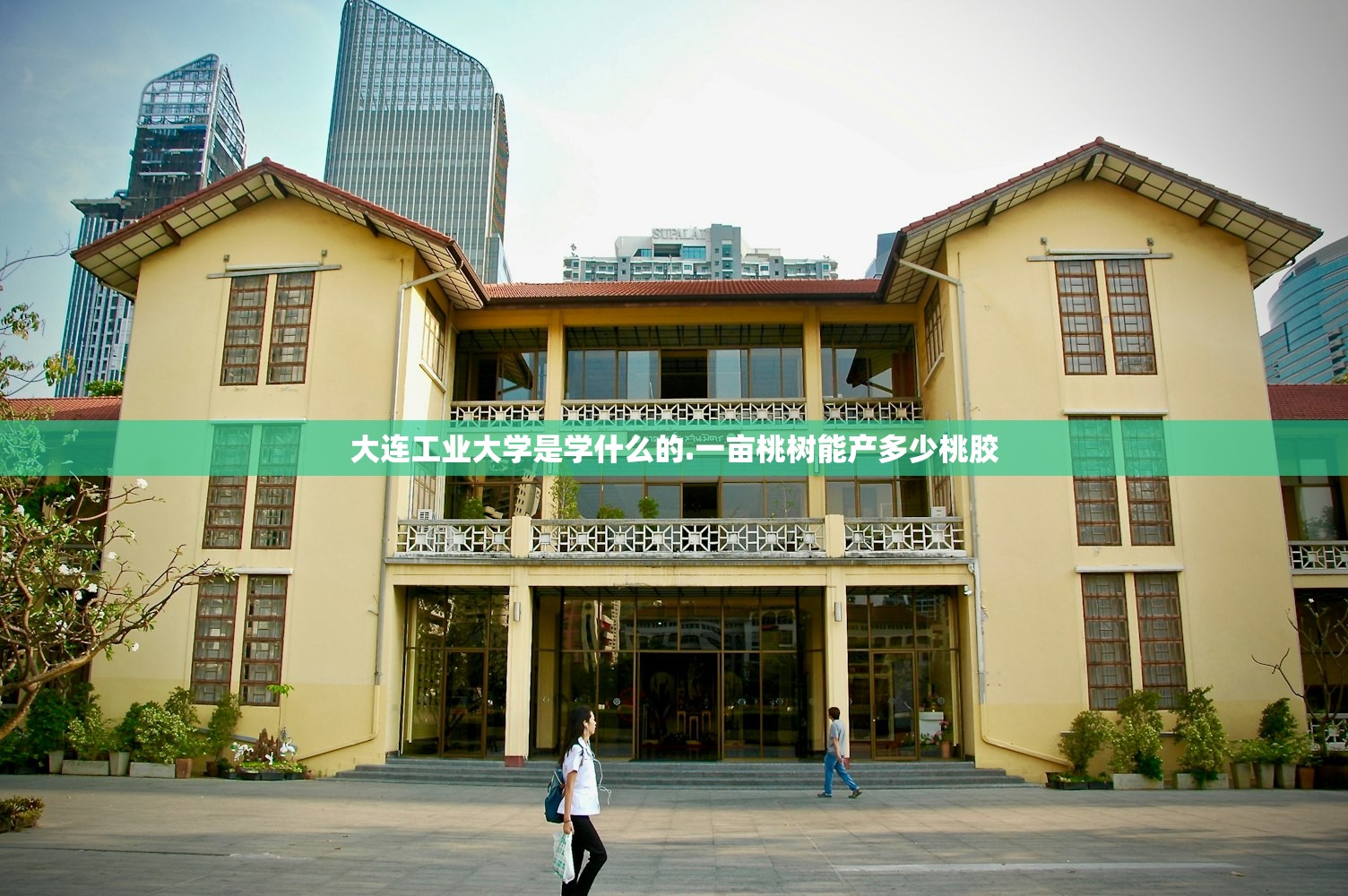 大连工业大学是学什么的.一亩桃树能产多少桃胶
