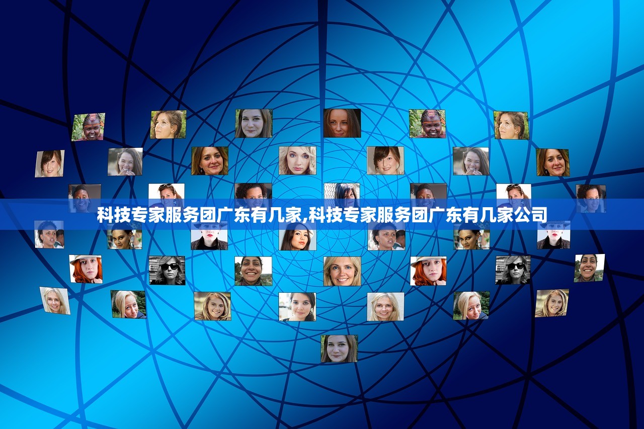 科技专家服务团广东有几家,科技专家服务团广东有几家公司