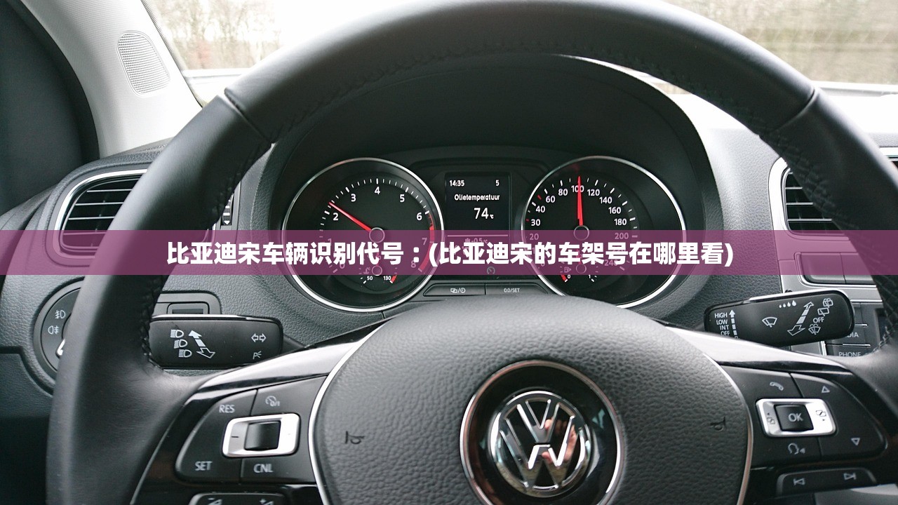 比亚迪宋车辆识别代号︰(比亚迪宋的车架号在哪里看)