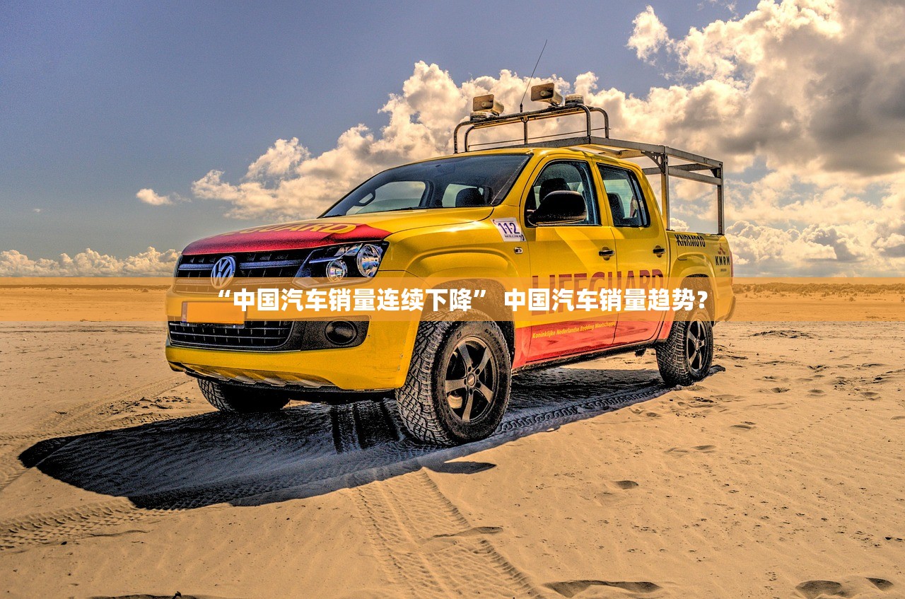 “中国汽车销量连续下降	” 中国汽车销量趋势？