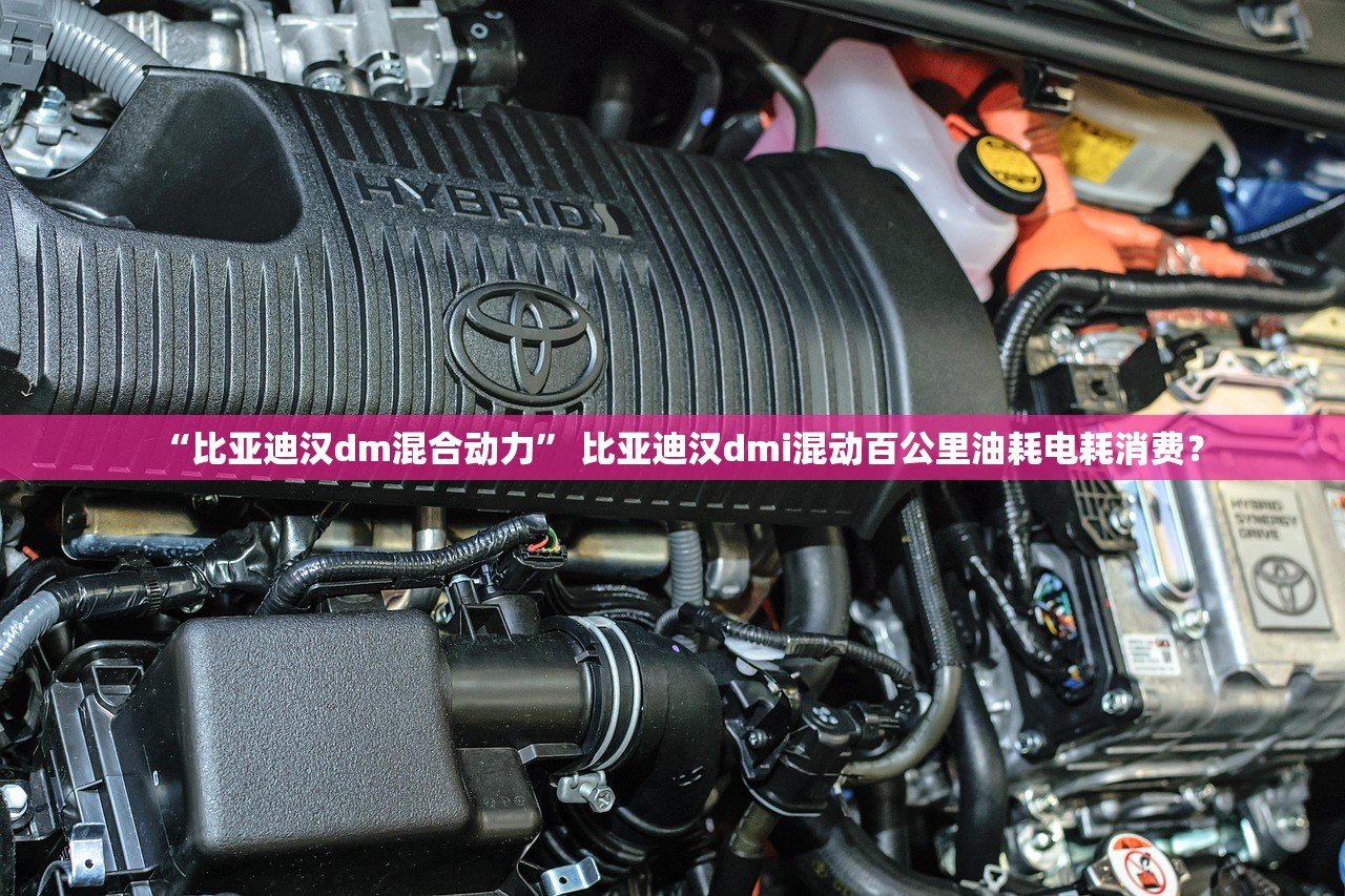“比亚迪汉dm混合动力” 比亚迪汉dmi混动百公里油耗电耗消费？